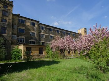 dr krüger immobilien leipzig