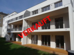 traumhaft wohnen in der Südvorstadt