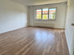 geräumiges Wohnzimmer